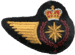 Intelligence Operator (111) DEU