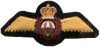 Search and Rescue Tech (131) DEU