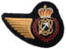 Avionics Tech (525) DEU