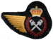Plumber Gas Fitter (613) DEU