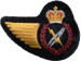 Electrician (614) DEU