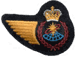 Air Weapons Control (64) DEU