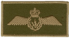 Airborne Electronic Sensor Op (081) Flying