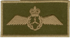 Flight Engineer (065-091) Flying