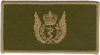 Flight Surgeon Flying