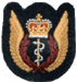 Flight Surgeon DEU