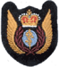 Aeromed Evacutaion DEU