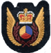 Tactical Helicopter Observer DEU