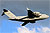 177702 Photo by Barry Shipley